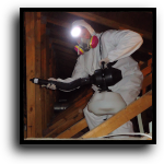 Palmetto, FL Attic Cleaning, Sanitizing & Insulation Services