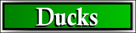 South Bradenton, FL Duck Removal Service