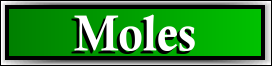 Palm Beach County, FL Mole Removal Service