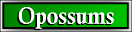 Coral Springs, FL Opossum Removal Service
